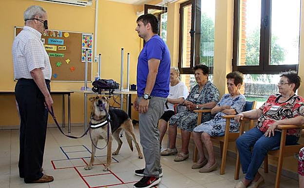 Terapia con perros en la Asociación de Familiares de Enfermos de Alzhéimer de la Comarca de Íscar, el pasado mes de junio.