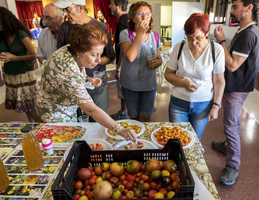 Fotos: Cata de tomates en el Centro Cívico El Campillo