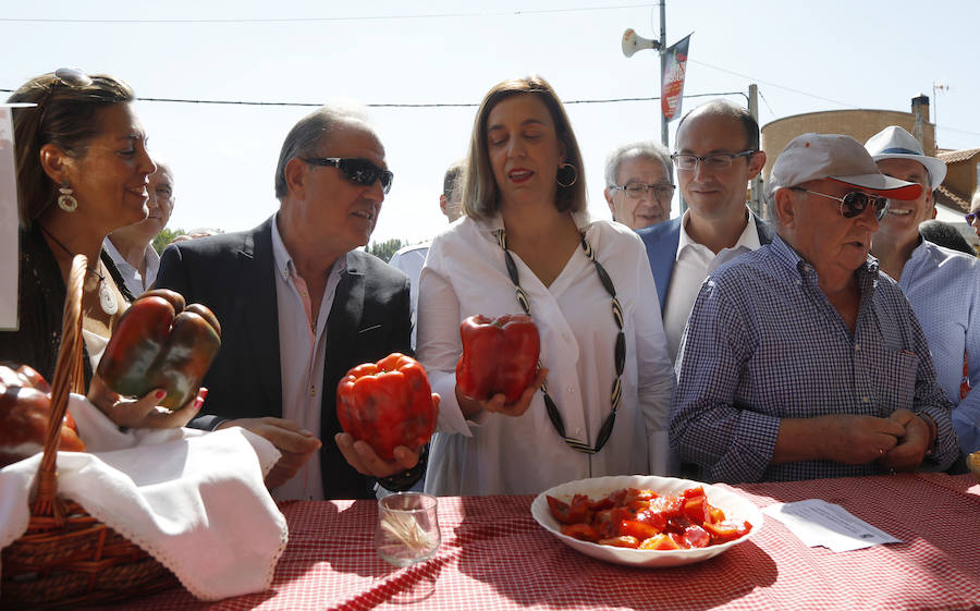 Fotos: XXV Feria del pimiento en Torquemada