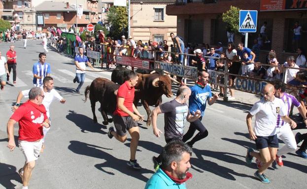 Último encierro matinal de Nava de la Asunción.