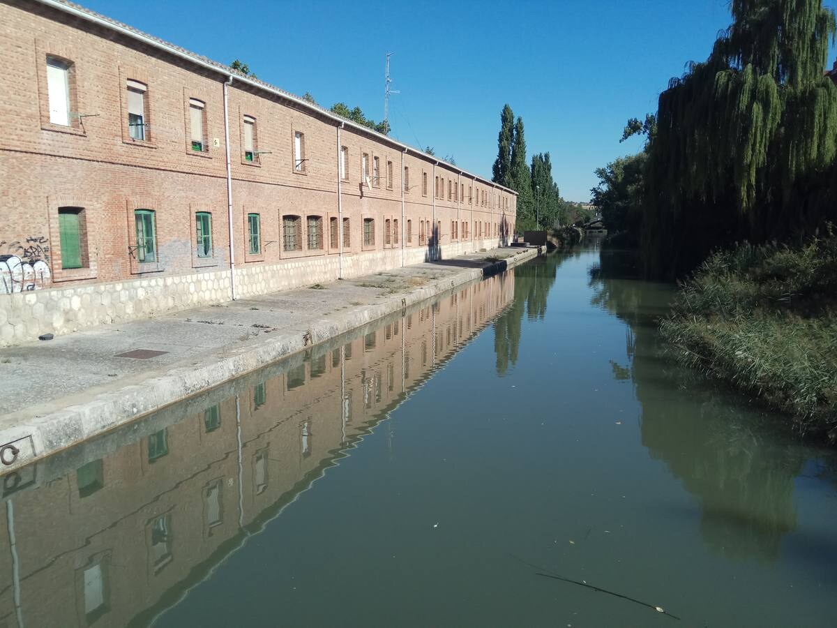 Fotos: Una mañana en la ribera del Canal de Castilla a su paso por Valladolid