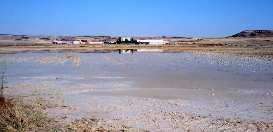 campos cercanos a Vallelado, anegados por la tormenta, este jueves.