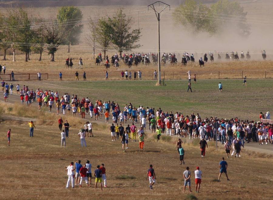 Los 'Encierros tradicionales al estilo de la Villa', declarados como fiesta de interés turístico regional, se celebran el sábado y el domingo.