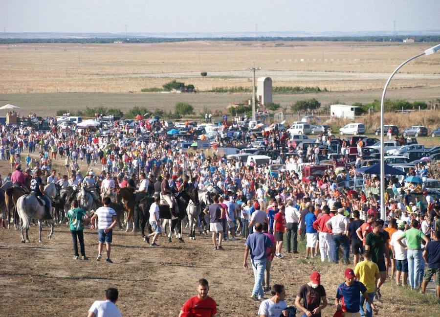 Los 'Encierros tradicionales al estilo de la Villa', declarados como fiesta de interés turístico regional, se celebran el sábado y el domingo.