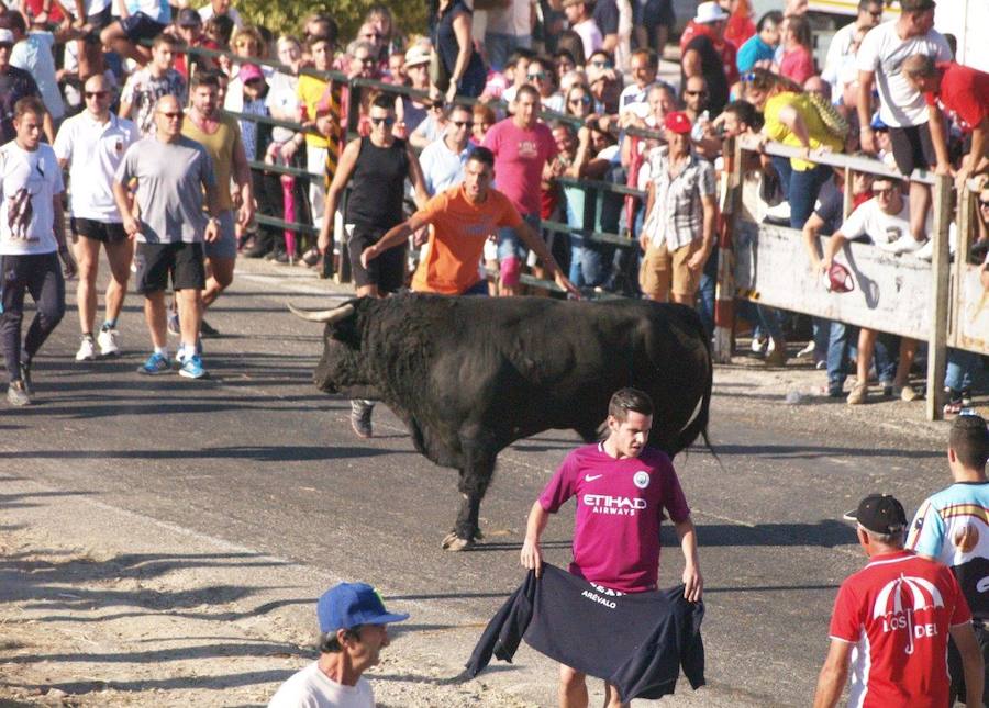 Los 'Encierros tradicionales al estilo de la Villa', declarados como fiesta de interés turístico regional, se celebran el sábado y el domingo.