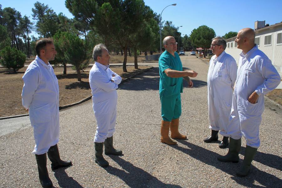 El viceconsejero de Desarrollo Rural, Jorge Llorente y el delegado Javier López-Escobar visitaron las instalaciones del centro en Hontalbilla. 