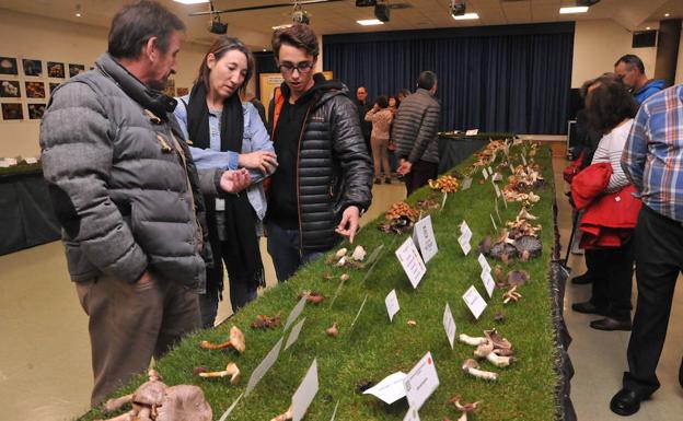 Exposición micológica celebrada en 2017. 