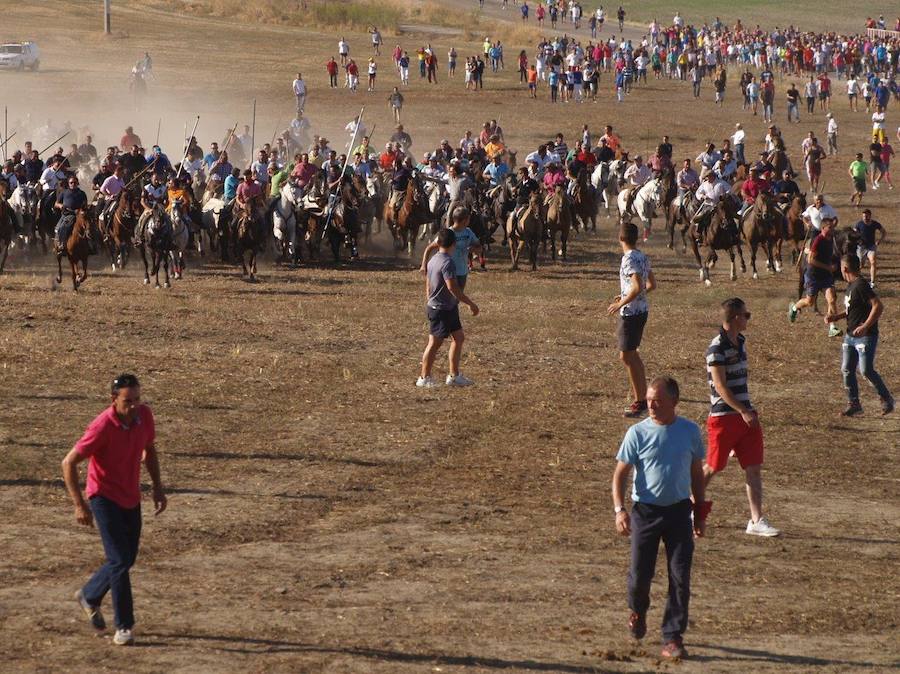 Fotos: Segundo encierro campero de las fiestas de Olmedo
