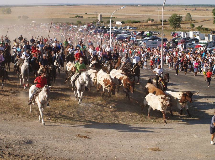 Fotos: Segundo encierro campero de las fiestas de Olmedo