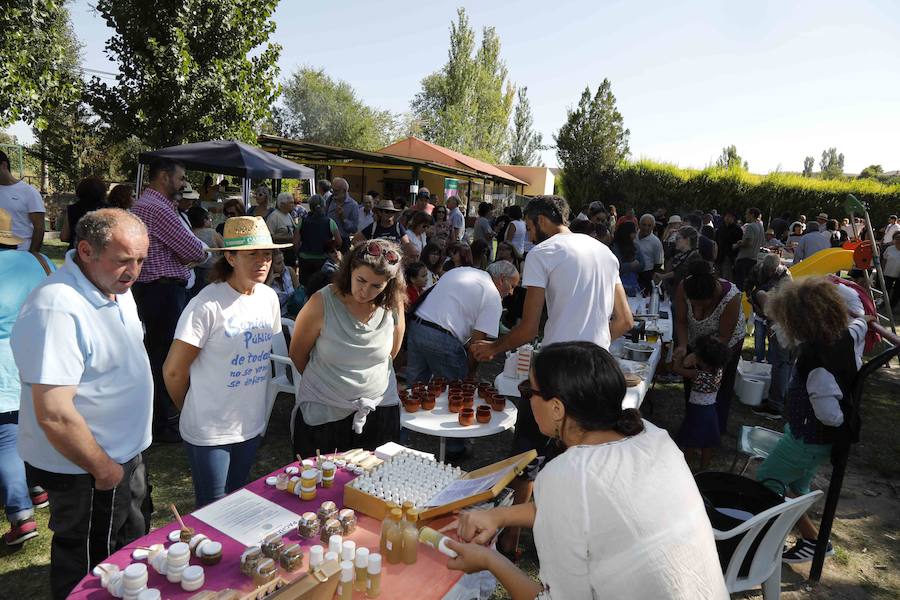 Fotos: Seiscientas personas en la Feria del Tomate de Pinel de Abajo
