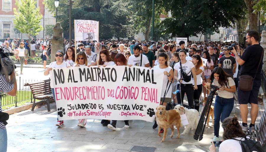 Fotos: Medio millar de personas reclaman justicia para el perro Cooper en Santovenia