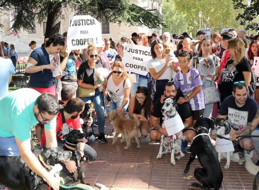 Fotos: Medio millar de personas reclaman justicia para el perro Cooper en Santovenia