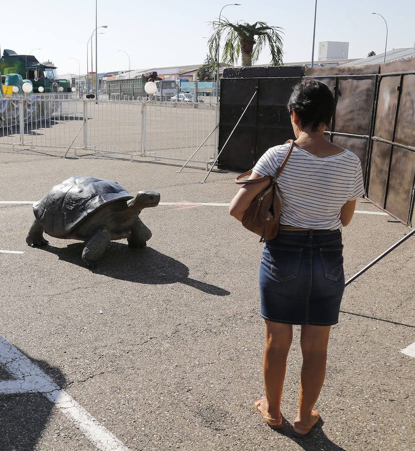 Fotos: Exposición de dinosaurios animatrónicos en el Ferial