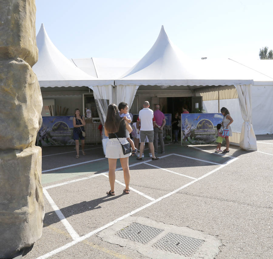 Fotos: Exposición de dinosaurios animatrónicos en el Ferial