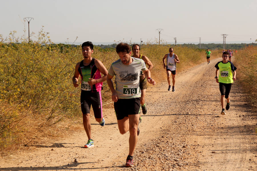 Fotos: Corriendo entre viñas en Matapozuelos