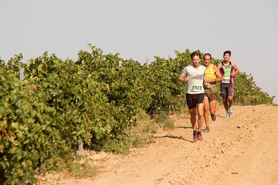 Fotos: Corriendo entre viñas en Matapozuelos