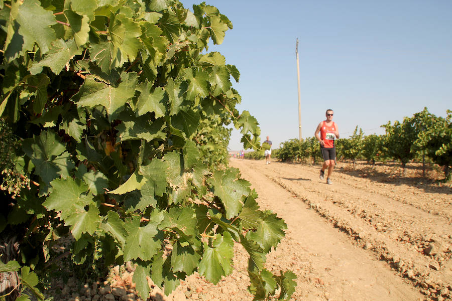 Fotos: Corriendo entre viñas en Matapozuelos