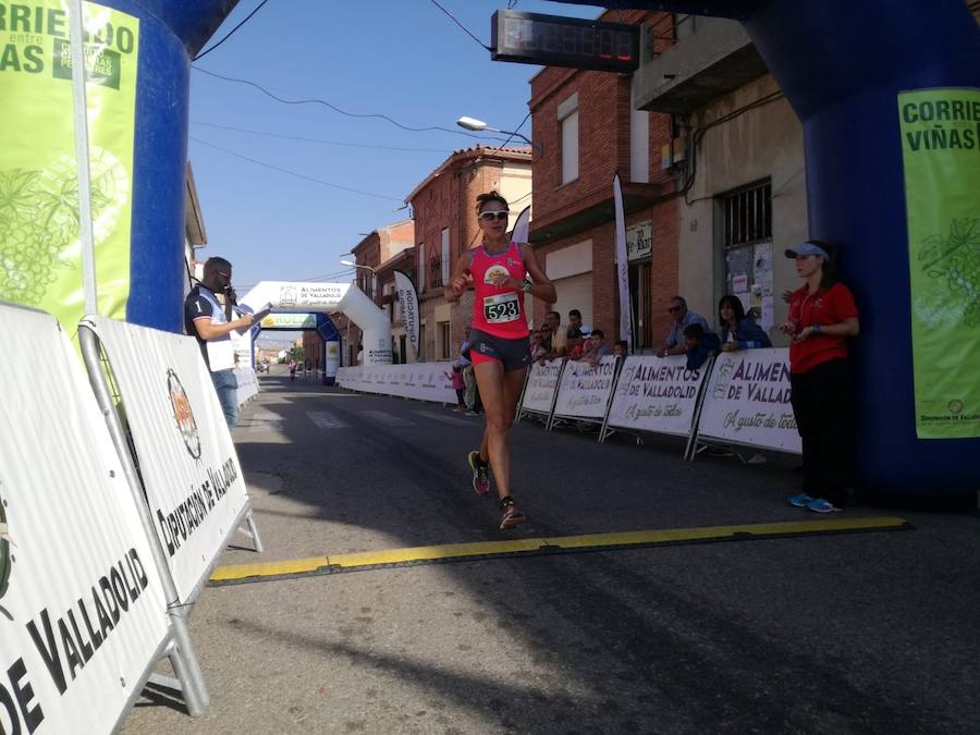 Fotos: Corriendo entre viñas en Matapozuelos