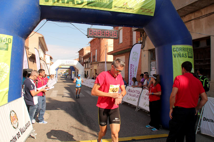 Fotos: Corriendo entre viñas en Matapozuelos