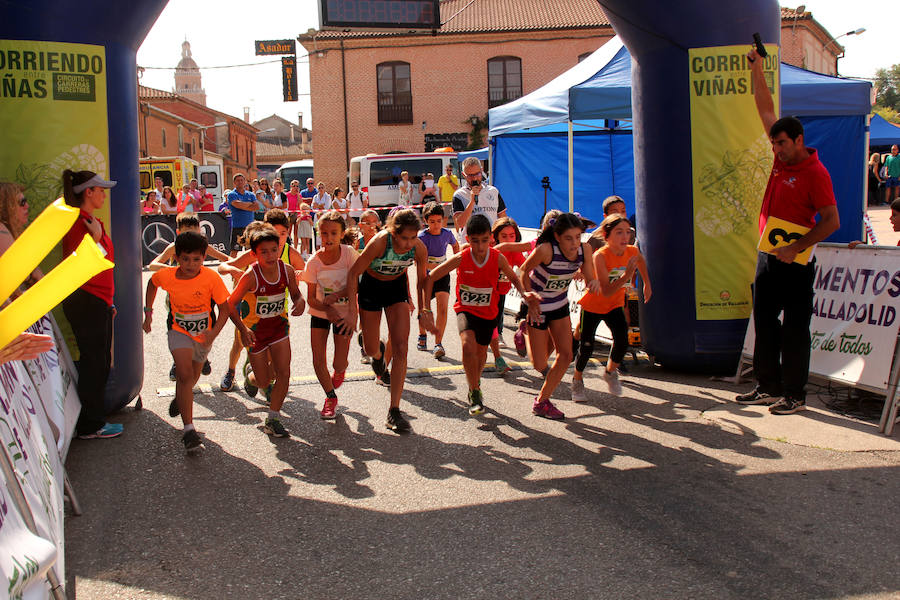 Fotos: Corriendo entre viñas en Matapozuelos