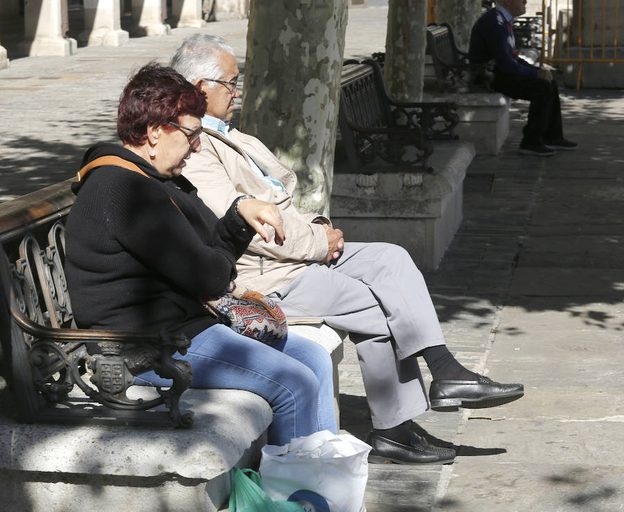 Fotos: Los pensionistas se manifiestan en Palencia