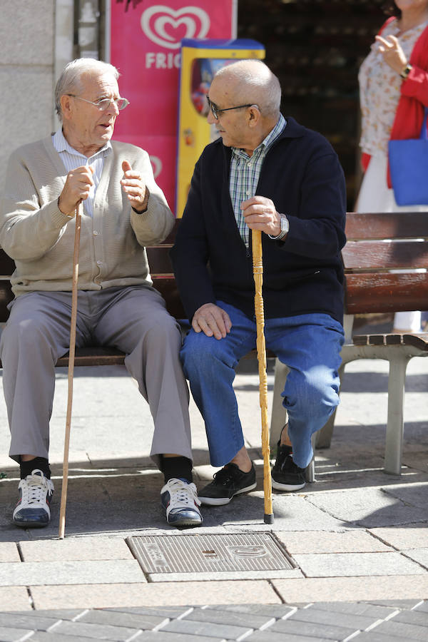 Fotos: Los pensionistas se manifiestan en Palencia