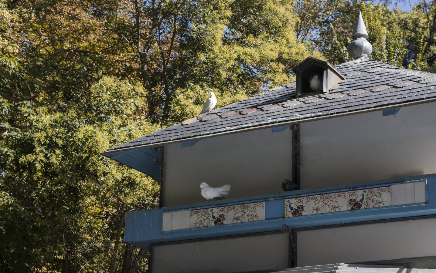 Fotos: Llega el otoño al Campo Grande