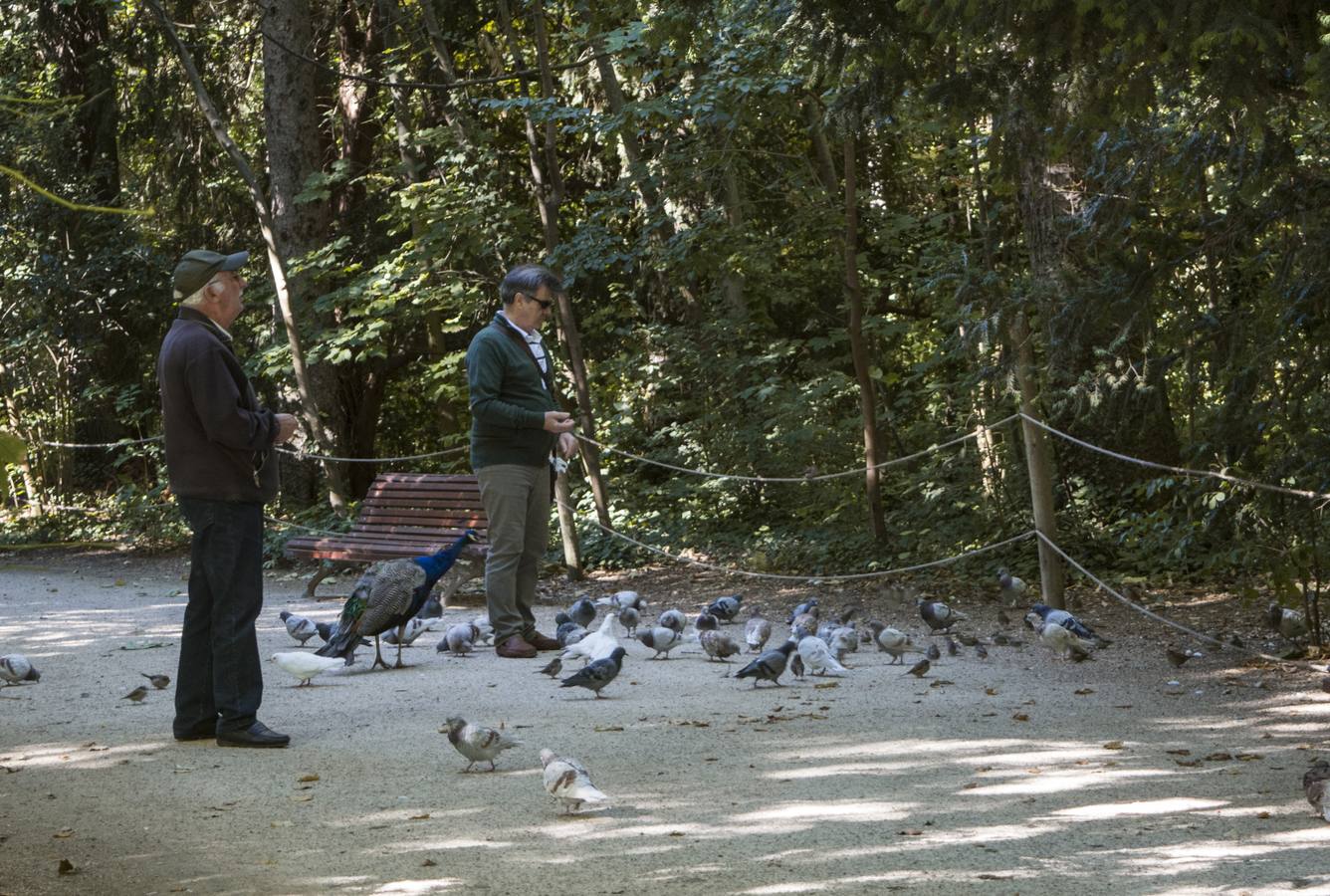 Fotos: Llega el otoño al Campo Grande