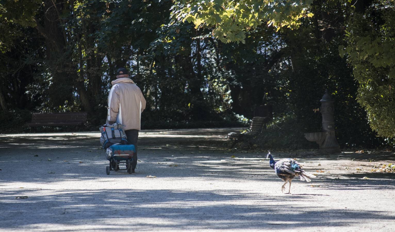 Fotos: Llega el otoño al Campo Grande