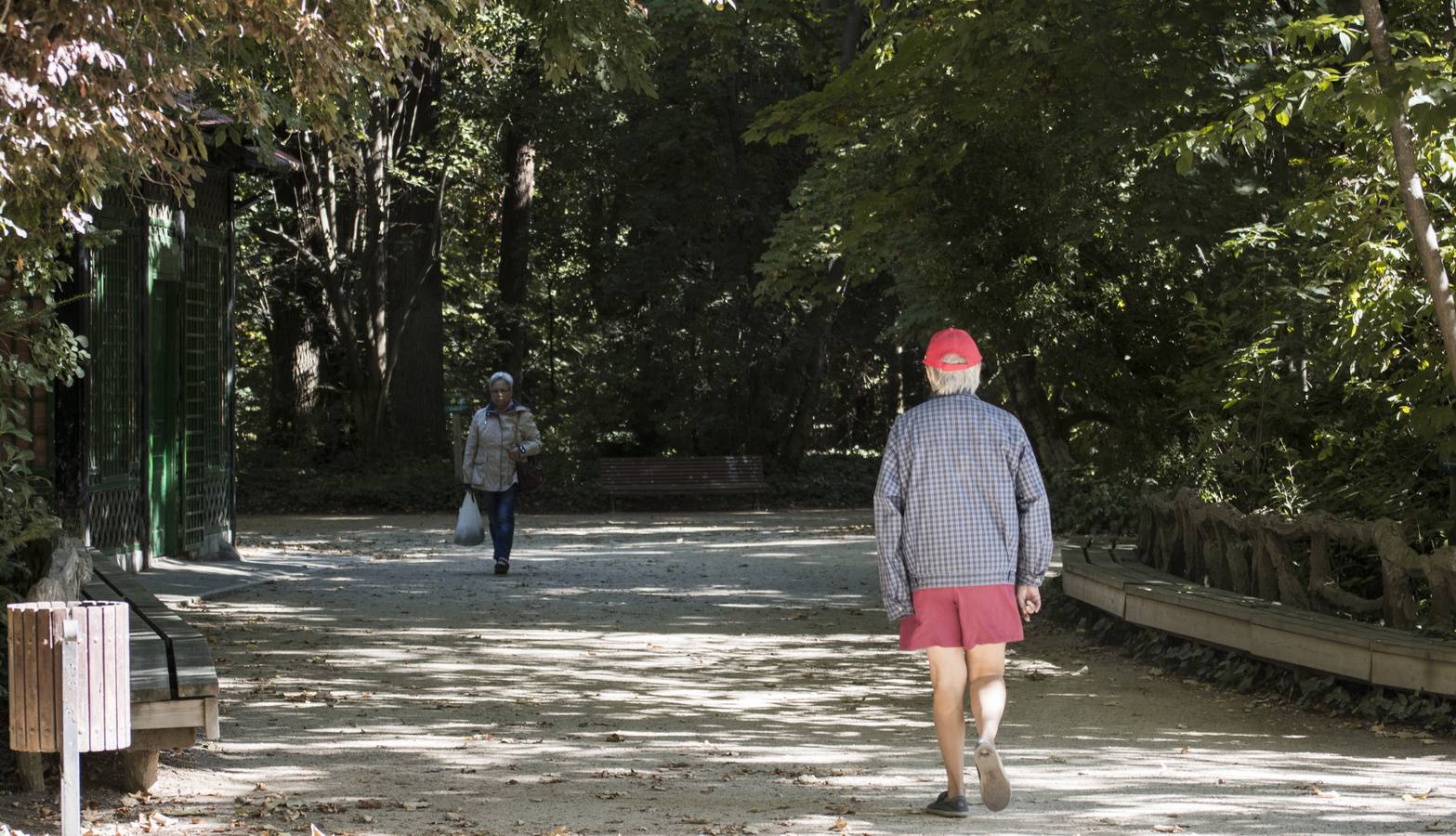 Fotos: Llega el otoño al Campo Grande