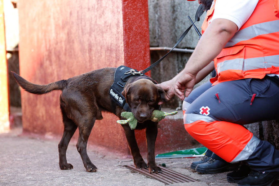 Exhibición de la Guardia Civil en la Plaza de Toros de La Glorieta de Salamanca