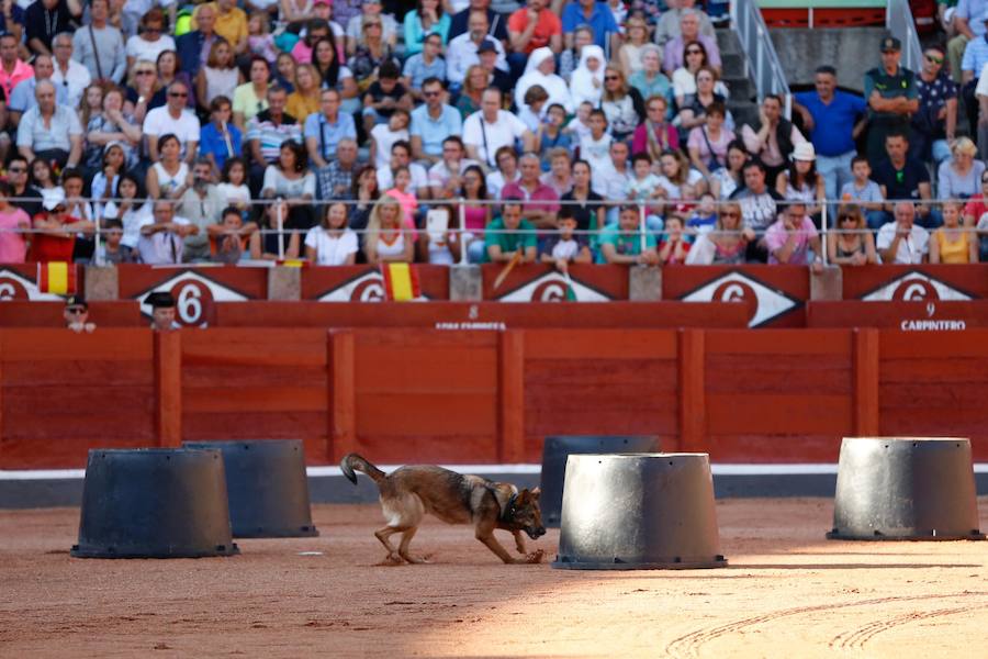 Exhibición de la Guardia Civil en la Plaza de Toros de La Glorieta de Salamanca