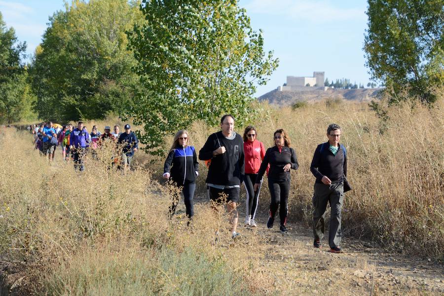 Fotos: Marcha de la Fundación San Cebrián en Palencia