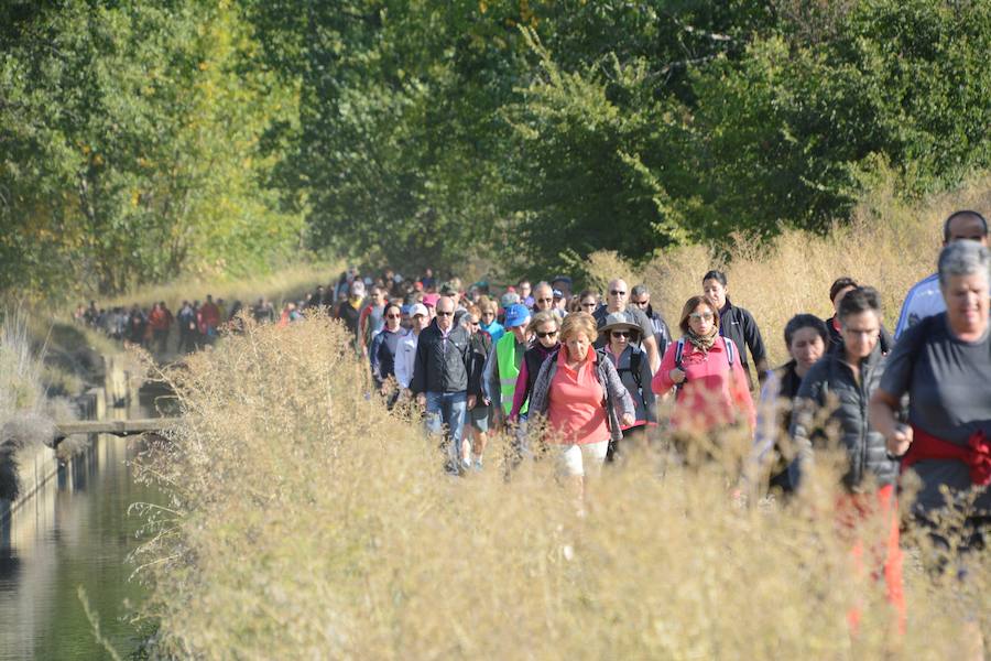 Fotos: Marcha de la Fundación San Cebrián en Palencia