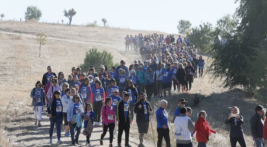 Fotos: IV Caminata popular contra el hambre en Valladolid