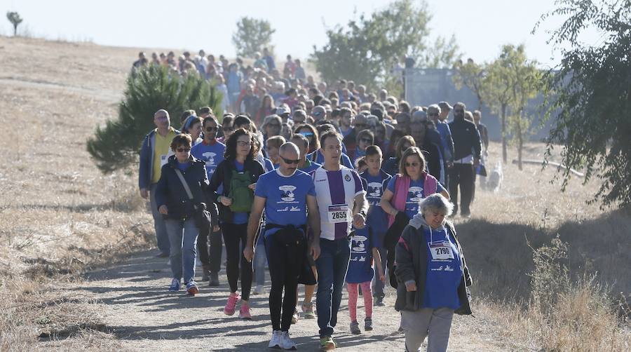 Fotos: IV Caminata popular contra el hambre en Valladolid