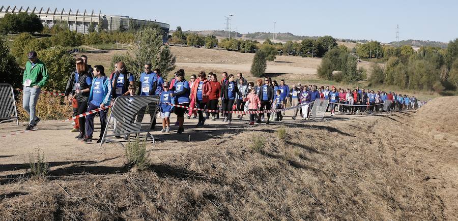 Fotos: IV Caminata popular contra el hambre en Valladolid