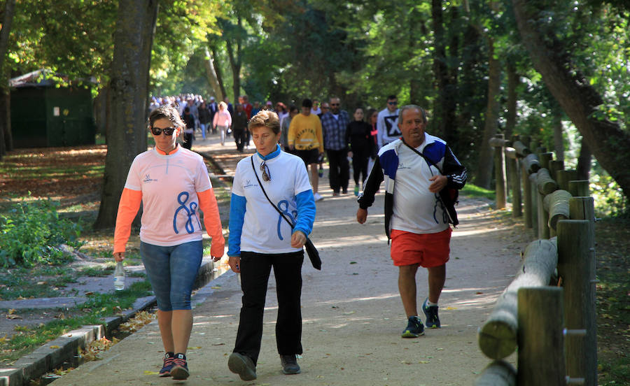 Fotos: Marcha de Apadefim