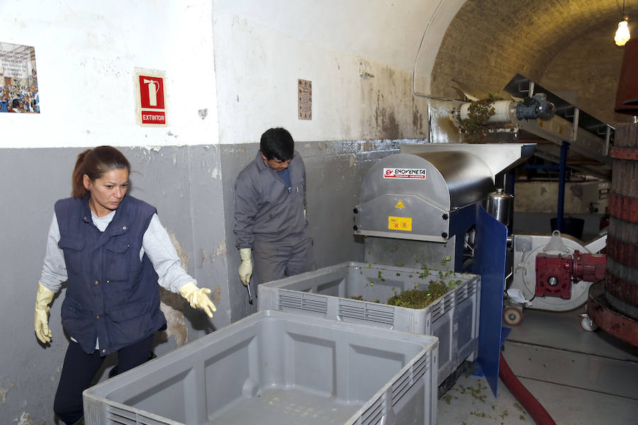 Fotos: La vendimia en Dueñas