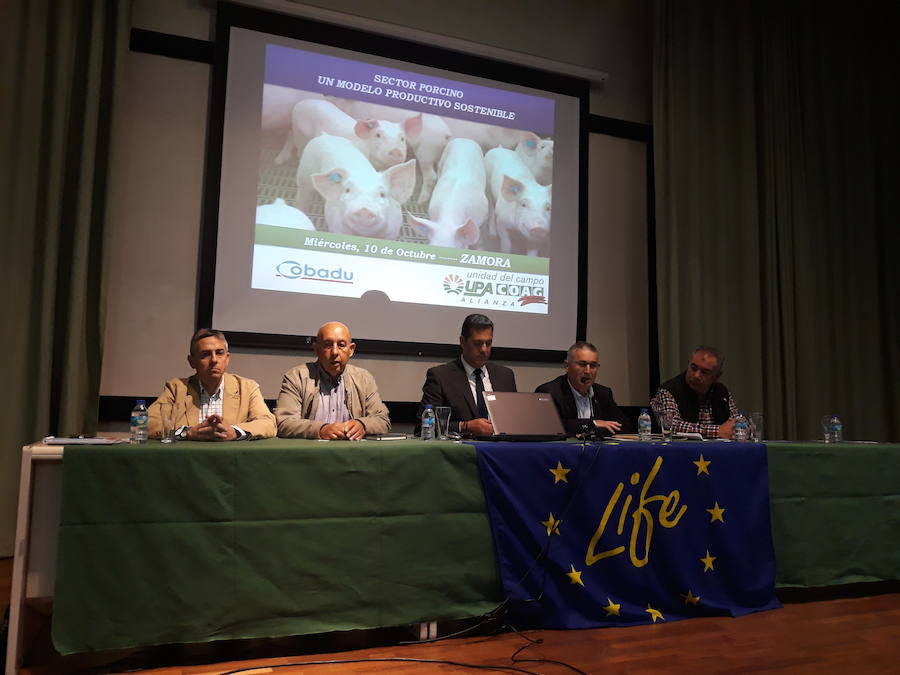 El sector porcino pide en Zamora que no se le «demonice injustamente»