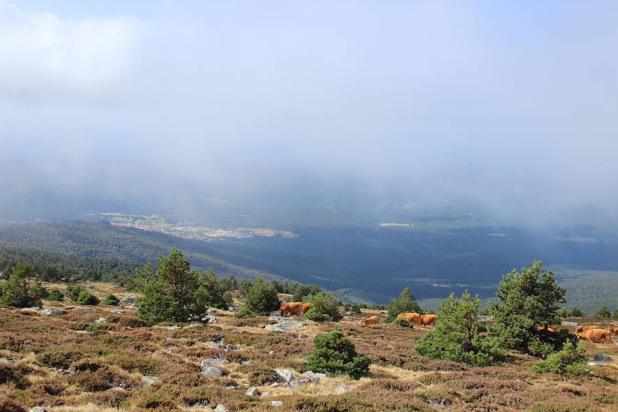 Recopilación de imágenes de los Picos de Urbión, desde el Pico Ubrión a más de 2.000 metros de altitud, en la provincia de Soria.