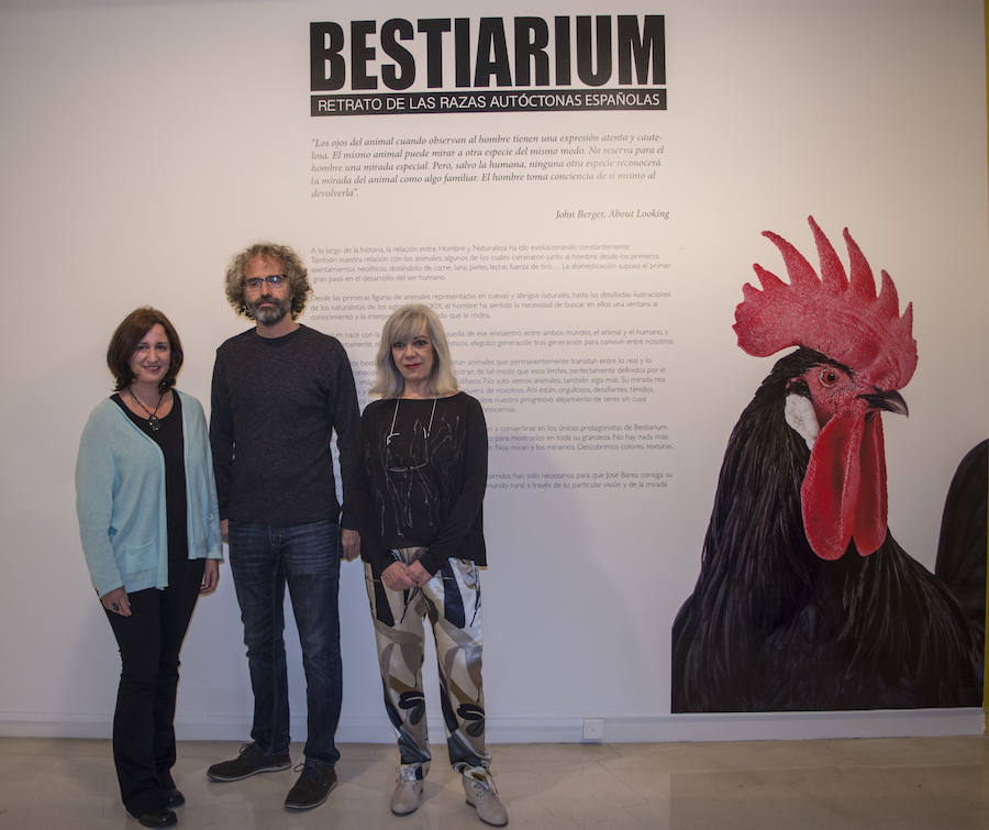 Fotos: El Museo de la Ciencia de Valladolid acoge la exposición fotográfica &#039;Bestiarium&#039;
