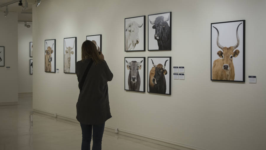 Fotos: El Museo de la Ciencia de Valladolid acoge la exposición fotográfica &#039;Bestiarium&#039;