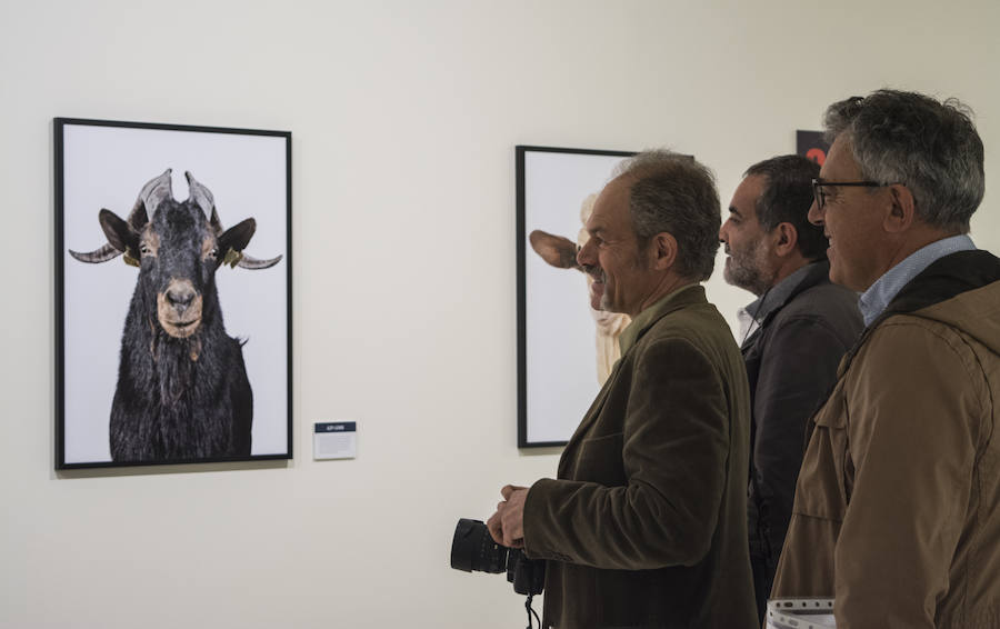 Fotos: El Museo de la Ciencia de Valladolid acoge la exposición fotográfica &#039;Bestiarium&#039;