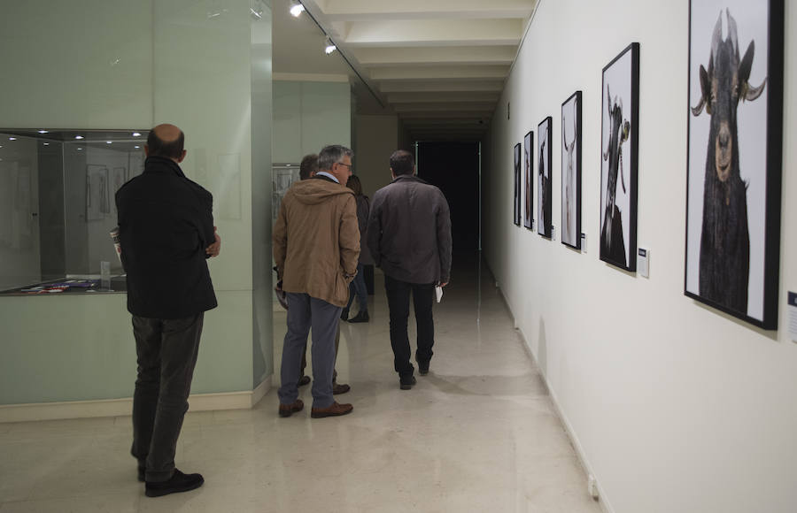 Fotos: El Museo de la Ciencia de Valladolid acoge la exposición fotográfica &#039;Bestiarium&#039;