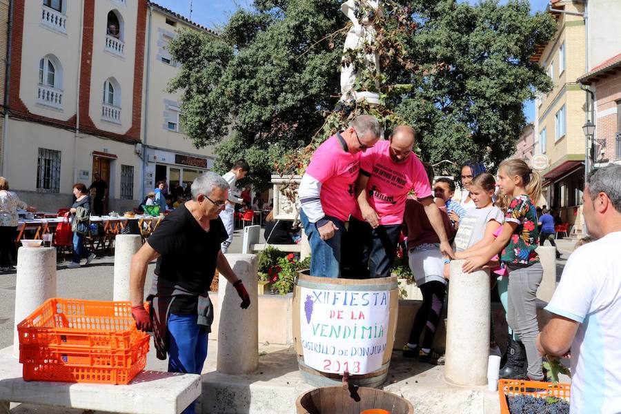 Fotos: Fiesta de la venidimia en Castrillo de Don Juan