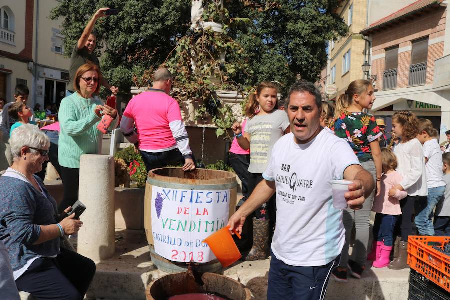 Fotos: Fiesta de la venidimia en Castrillo de Don Juan