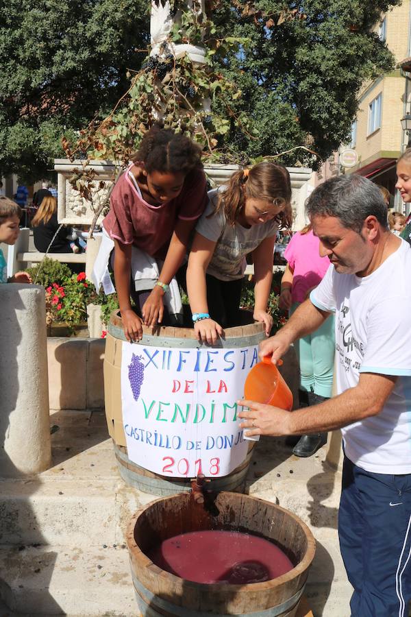 Fotos: Fiesta de la venidimia en Castrillo de Don Juan