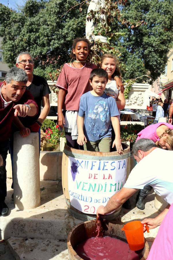 Fotos: Fiesta de la venidimia en Castrillo de Don Juan