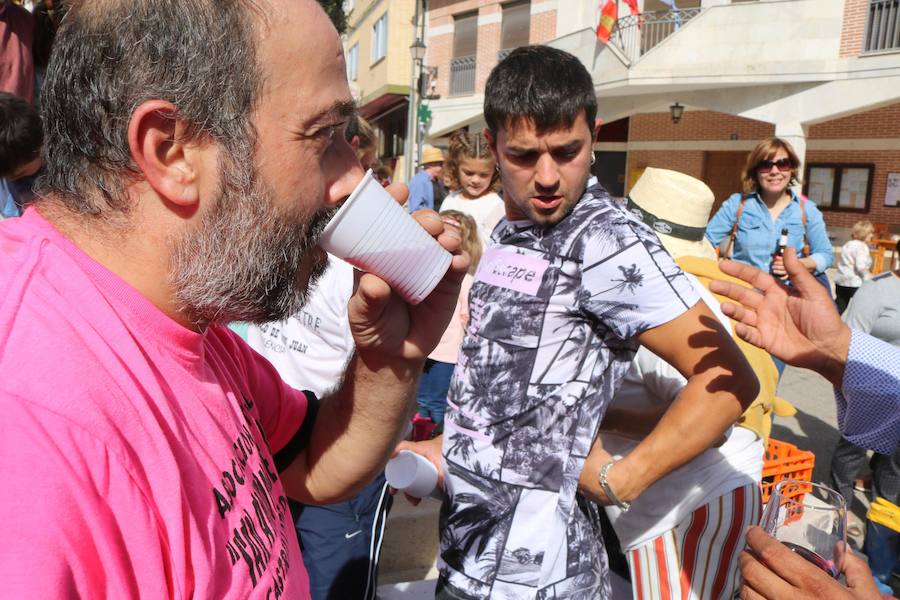 Fotos: Fiesta de la venidimia en Castrillo de Don Juan